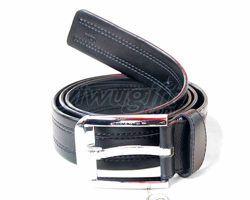 Pin buckle belt, picture