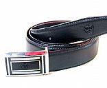 Plate buckle belt,Pictrue