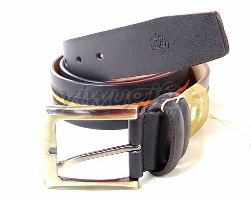 Leisure pin buckle belt, picture