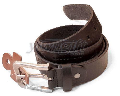 Leisure pin buckle belt, picture