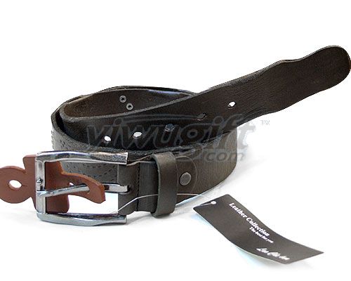 Leisure pin buckle belt, picture