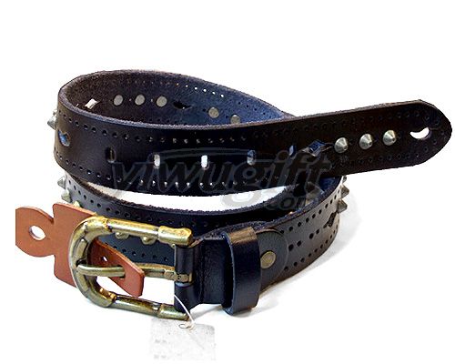 Leisure pin buckle belt, picture