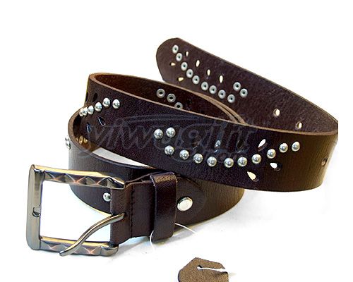 Leisure pin buckle belt, picture