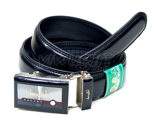 Automatic buckle belt