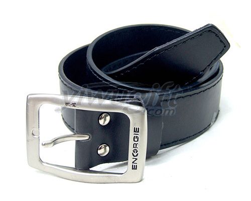 Leisure pin buckle belt, picture