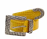 Pin buckle belt,Pictrue