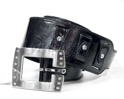 Pin buckle belt, picture