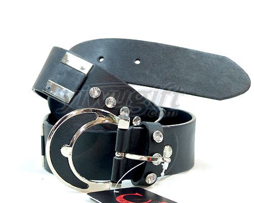 Pin buckle belt, picture