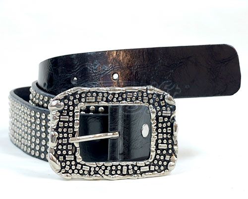 Pin buckle belt, picture