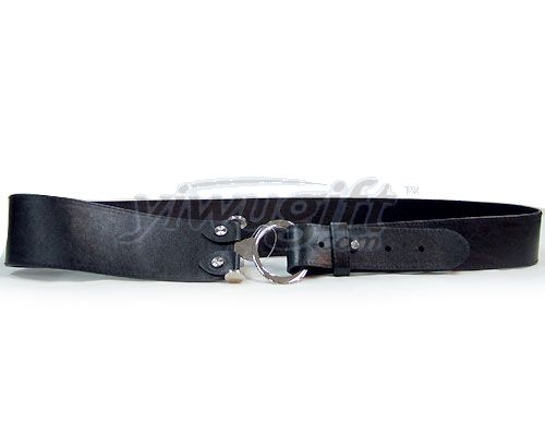 Pin buckle belt, picture