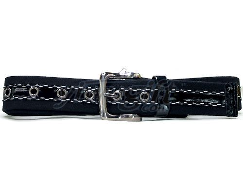 Pin buckle webbing belt, picture