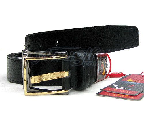 Pin buckle belt, picture