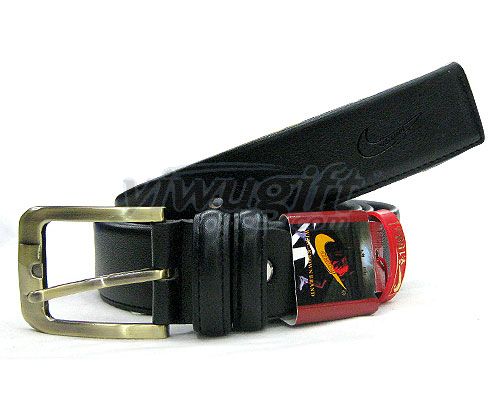 Pin buckle belt, picture