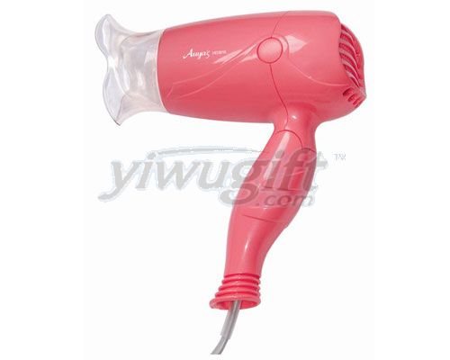Hair Dryer, picture