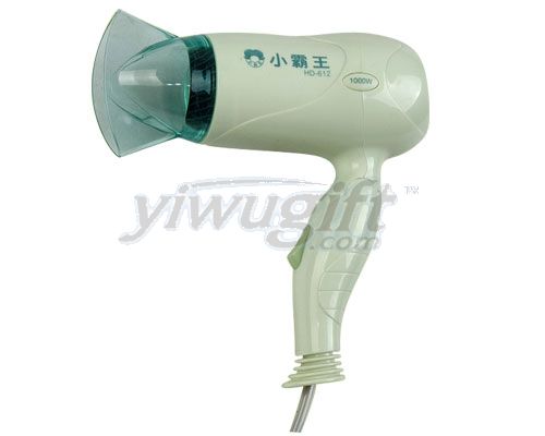 Electric drier, picture