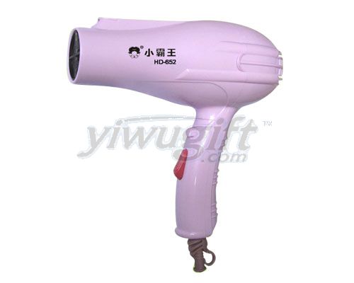 Electric drier, picture