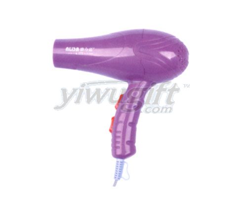 Hair Dryer, picture