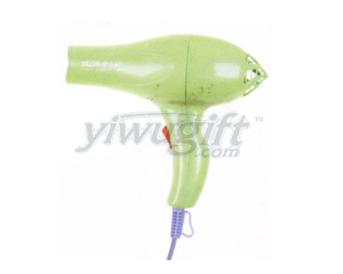 Hair Dryer, picture