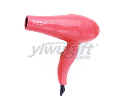 Hair Dryer, picture