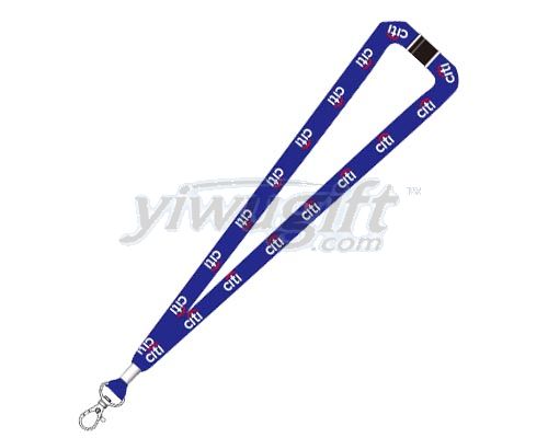 Lanyard