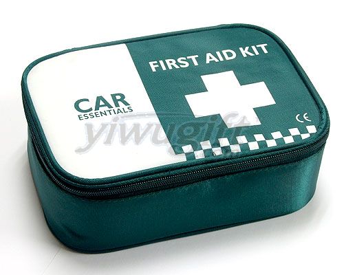 Travel/Vehicle First Aid Kit, picture