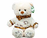 Plush teddy bear, Picture