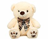 Plush teddy bear,Picture