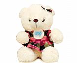 Plush teddy bear,Pictrue