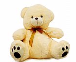 Plush teddy bear